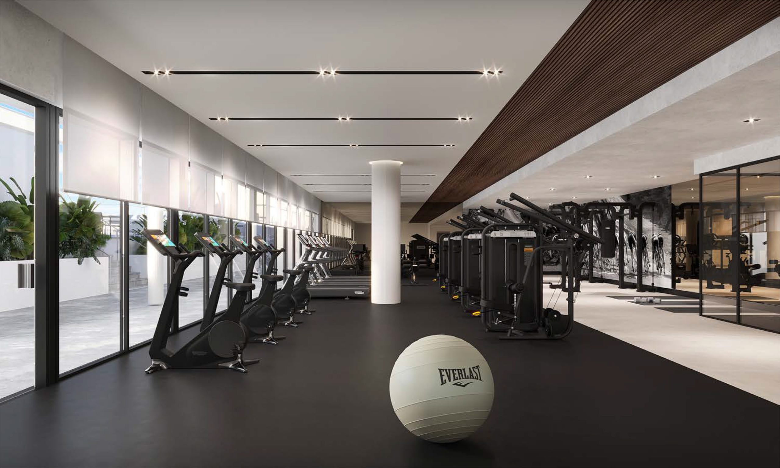Modern gym lined with treadmills and machines